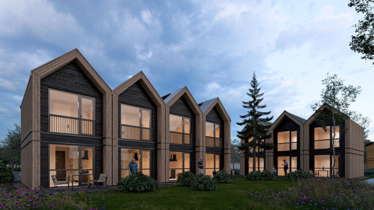 2024 11 21_20 – Photo